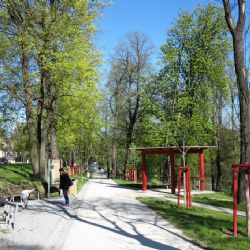 Plzeň dá letos do úprav parků a rekreačních míst desítky milionů