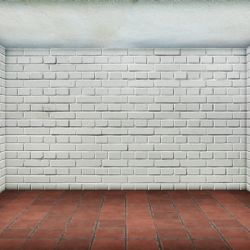 Plzeň dostala dotaci na úpravu bytů pro sociální bydlení  