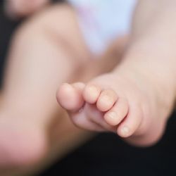 Plzeň hledá pěstouny, spouští kampaň
