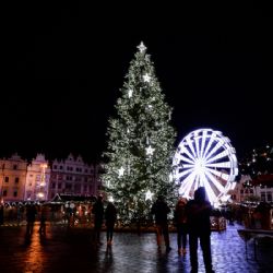 Plzeň hledá vánoční strom. Pomůže s odstraněním, zajistí dopravu