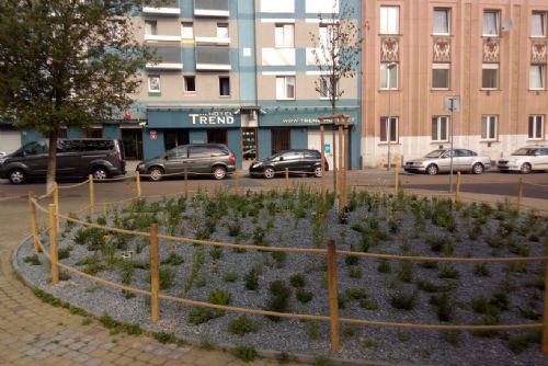 Foto: Plzeň má nové trvalkové záhony, rostliny na nich zvládnou sucho i horko