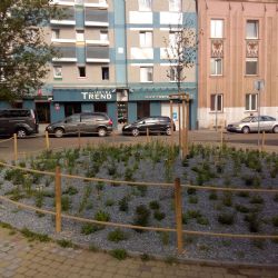 Plzeň má nové trvalkové záhony, rostliny na nich zvládnou sucho i horko