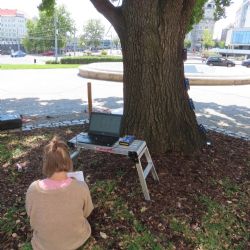 Plzeň nechala prověřit stabilitu mohutného dubu před muzeem