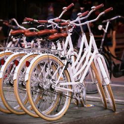 Plzeň podpoří bikesharing i obnovy školních zahrad