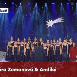 Plzeň připravila program on-line, primátor popřál klidný advent