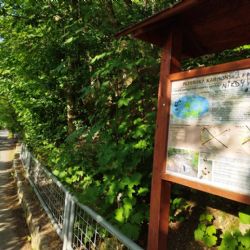 Stop vandalům na Boleváku a jinde. Plzeň zvyšuje dohled