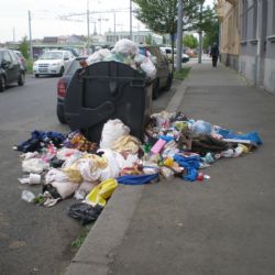 Plzeň řeší stížnosti občanů na nepořádek, snaží se reagovat hned
