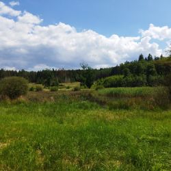 Plzeň revitalizuje rekreační oblasti, obnoví Podhorní kokotský rybník