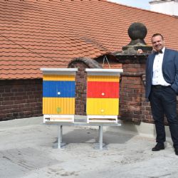 Plzeň se dala na městské včelaření, na střeše radnice má dva úly