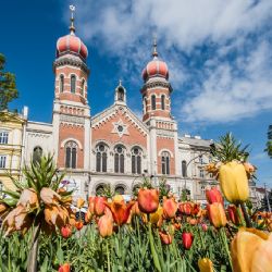 Plzeň se stará o stovky hektarů trávníků, tisíce metrů čtverečních záhonů a přes 18 tisíc stromů