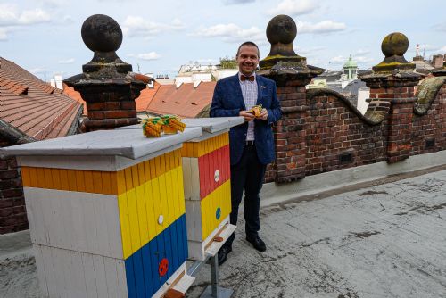 Foto: Plzeň stočila první med z úlů na střeše radnice 