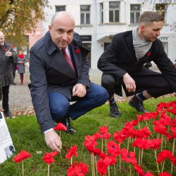 Plzeň uctila veterány, květy vlčího máku připomínají jejich hrdinství