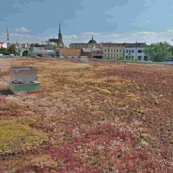 Plzeň zelená a modrá: Cyklus zahájí díl o změně klimatu