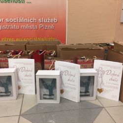 Plzeň zná Zlatého Anděla, Dobré duše i Andělské ruce. Rozdala ocenění v sociálních službách
