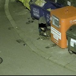 Plzeňák rozházel odpadky u kontejnerů, odhalil ho kamerový systém