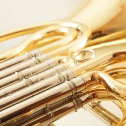 Plzeňská filharmonie nakoupí nové nástroje