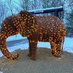 Plzeňská zoo láká na Vánoce na snížené vstupné a svítícího slona