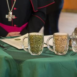 Plzeňské biskupství vydraží várku piva původně určenou papeži