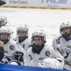 Plzeňské sportovní akademie získají od města dotace