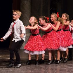 Festival Jeden svět, Nefestík i stepaři dostanou dotace 