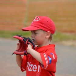 Plzeňský klub vychovává baseballový potěr