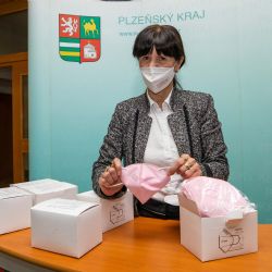 Plzeňský kraj dostal šest tisíc respirátorů od Senátu