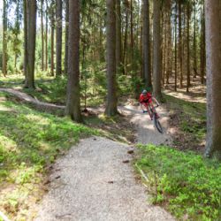 Plzeňský kraj investoval do cyklostezek 109 milionů korun