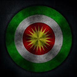 Plzeňský kraj vyvěsí kurdskou vlajku jako důkaz solidarity s Kurdy
