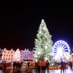 Plzeňský vánoční strom na náměstí Republiky už září