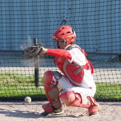 Plzeňští baseballisté jsou v plném proudu zimní přípravy
