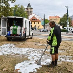 Plzeňští městští zahradníci hubí plevel ekologickou metodou