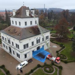 Plzeňští zvířecí záchranáři upravili čapí hnízdo v Ostrově