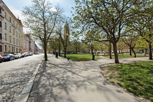 Foto: Po obnově Jiráskova náměstí vzroste počet stromů