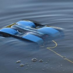 Podvodní dron zkoumal rostliny v Senečáku, potvrdil masožravku