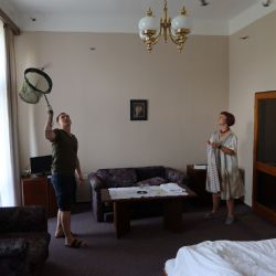 Pokoj hotelu Slovan v Plzni obsadilo 267 netopýrů