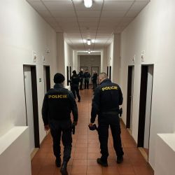 Policisté kontrolovali ubytovny v Plzni a noční kluby na Domažlicku