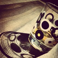 Policisté kontrolovali vodáky na Otavě, ti alkohol nepili