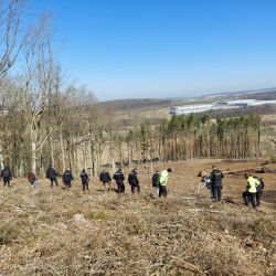 Policisté na Přešticku pátrali po lidských ostatcích, může jít o pohřešovaného seniora