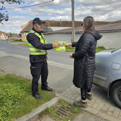 Policisté na silnicích kraje zkontrolovali 248 aut