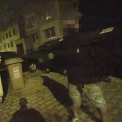 Policisté po nich pátrali, strážníci je našli 
