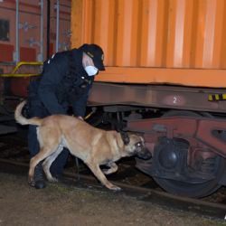 Policisté při ojedinělé akci kontrolovali ve Vejprnicích nákladní vlak