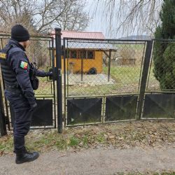 Policisté se psy na Klatovsku kontrolují chatové osady