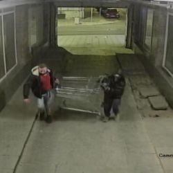Pomozte dopadnout zloděje plynového grilu