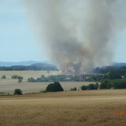 Požár pole u Zhoře hasilo deset jednotek hasičů. Do lesa se nerozšířil