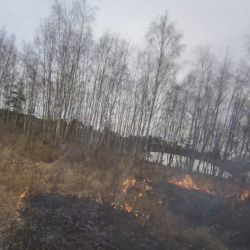 Požár za Boleveckým hřbitovem