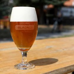 Prazdroj ve Volbě sládků nabízí pivo z nové odrůdy žateckého chmele: Master Boomerang 