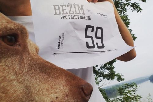 Foto: Pro Paměť národa v Plzni běžely i kočárky