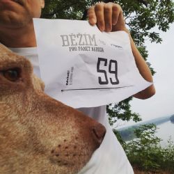 Pro Paměť národa v Plzni běžely i kočárky