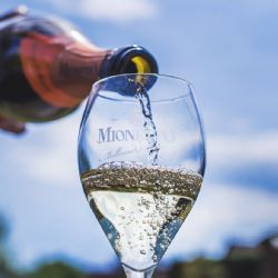 Prosecco má nový prodejní rekord