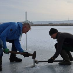 Rackové budou mít na Novém rybníku lepší hnízdní ostrůvky